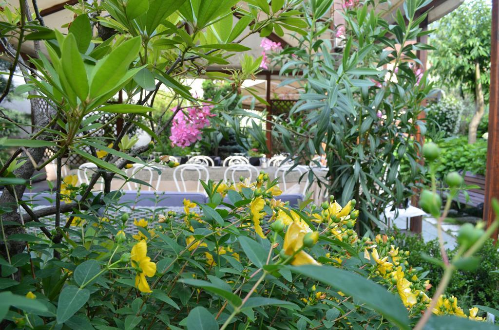 Albergo Giardino Cernobbio Eksteriør bilde
